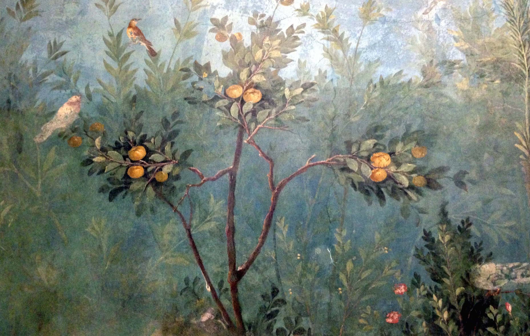 Garden Paintings from the Livia's Villa - Palazzo Massimo