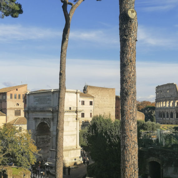 View of the Colosseum from Palatine Hill